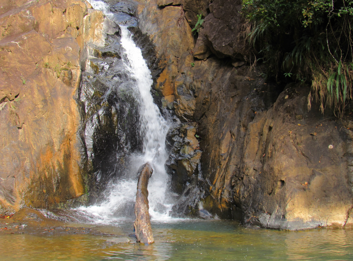 Những tác phẩm nghệ thuật này nằm trên các mỏm đá ở Cerro Azul thuộc Serranía de la Lindosa, một vách đá ở Colombia. Ảnh: @Đại học Exeter.