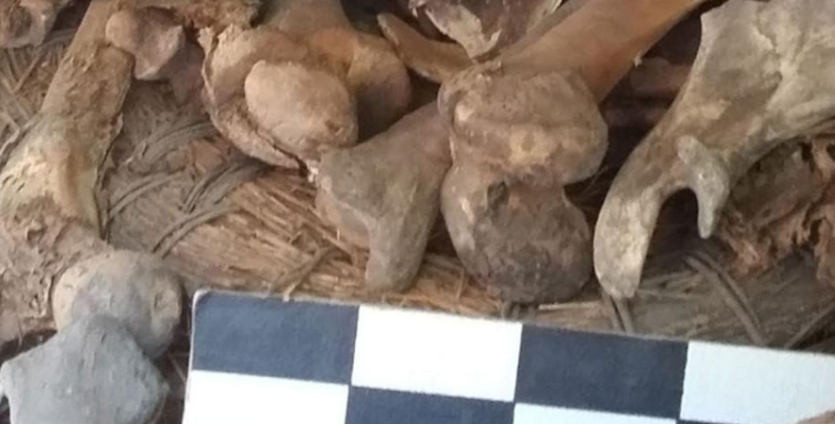 Các nhà nghiên cứu không thể xác định giới tính của đứa trẻ, ước tính khoảng hai tuổi. Ảnh: @Viện Nhân chủng học và Lịch sử Quốc gia Mexico.