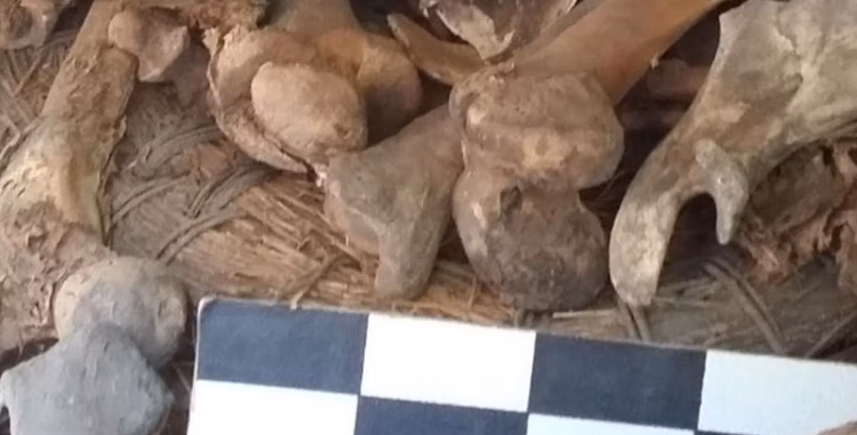 Các nhà nghiên cứu không thể xác định giới tính của đứa trẻ, ước tính khoảng hai tuổi. Ảnh: @Viện Nhân chủng học và Lịch sử Quốc gia Mexico.