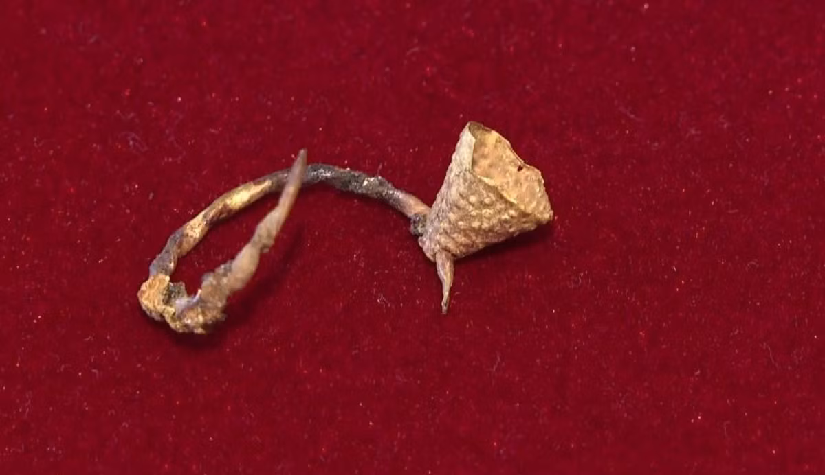 Gần hộp sọ của ông là một chiếc khuyên tai vàng tinh xảo được chế tác từ đế sắt phủ lớp vàng mỏng. Ảnh: @Bảo tàng Lịch sử Khu vực Karaganda.