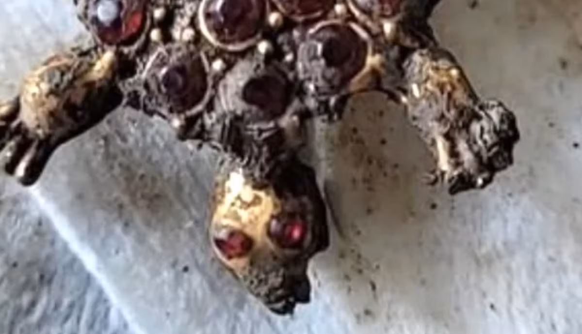 Quan sát kỹ hơn, chiếc trâm cài dường như được mô phỏng theo kỹ thuật chế tác trang sức, đồ mỹ nghệ Thời Trung Cổ, với thân nhỏ gọn và đầu hơi nhô ra, bốn chân cách điệu và mặt dưới được bao phủ bởi một loạt các viền tròn dày đặc. Ảnh: @Albert Cole.