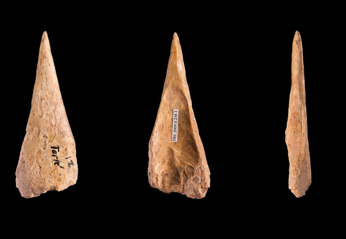 Các nhà nghiên cứu đã phân tích trình tự protein collagen để xác định xem các công cụ này đến từ loài động vật nào. Họ phát hiện ra rằng, 83 công cụ bằng xương được "xác nhận là của cá voi”. Ảnh: @Jean-Marc Pétillon.