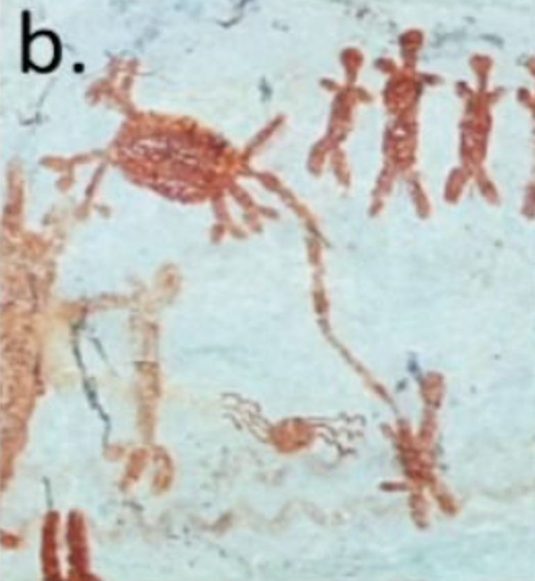 Mark Robinson, phó giáo sư tại Khoa Khảo cổ học và Lịch sử thuộc Đại học Exeter, cho biết: “Những địa điểm nghệ thuật trên đá này chứa bằng chứng lâu đời nhất về sự hiện diện của con người ở phía tây Amazon, có niên đại cách đây 12.500 năm”. Ảnh: @Đại học Exeter.