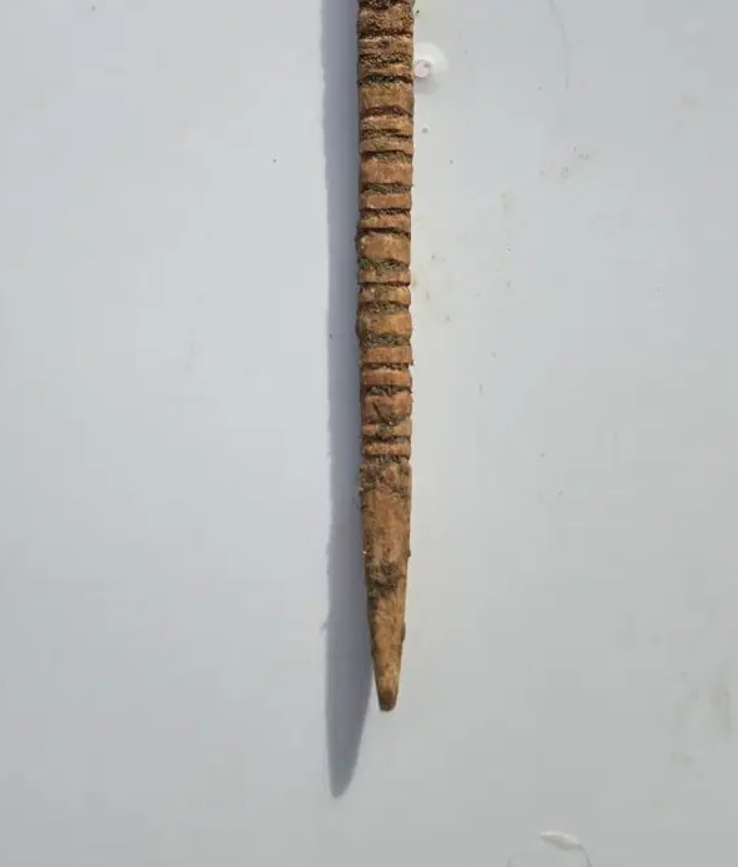 Các đặc điểm hình thức và kỹ thuật chế tác tinh xảo cho phép xác định niên đại của hiện vật vào thế kỷ thứ 5 Trước Công Nguyên, một thời kỳ hưng thịnh về văn hóa của thành phố Gela cổ đại. Ảnh: @Bảo tàng Thành phố Sicily.