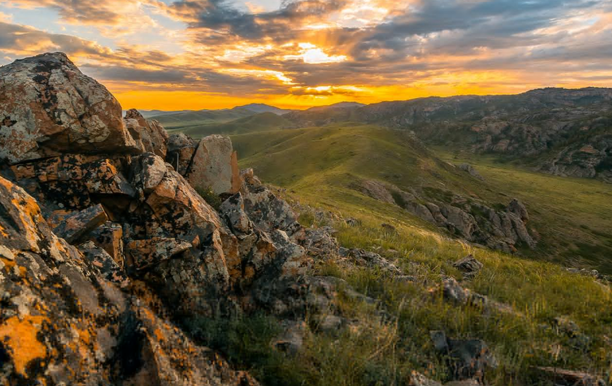 Khi tiến hành khai quật tại một gò đất ở dãy núi Tarbagatay, thuộc miền Đông Kazakhstan, các chuyên gia đến từ Viện Khảo Cổ Học Quốc Gia Kazakhstan bất ngờ tìm thấy một kho báu cổ. Ảnh: @Viện Khảo Cổ Học Quốc Gia Kazakhstan.