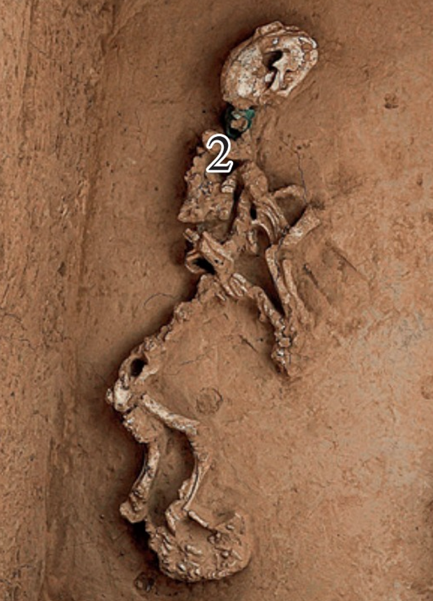 Việc phát hiện những chiếc chuông đồng đeo quanh cổ một số con vật hé lộ nhiều sự thật thú vị. Ảnh: @Viện Nghiên Cứu Khảo Cổ Trung Quốc.