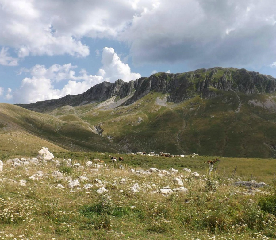 Quan tài đá được phát hiện trong Lăng mộ Cerberus ở Giugliano, một phần của Cánh đồng Phlegraean gần địa điểm khảo cổ cổ đại Liternum, một nơi giàu ý nghĩa khảo cổ học. Ảnh: @Bộ Văn hóa Ý.