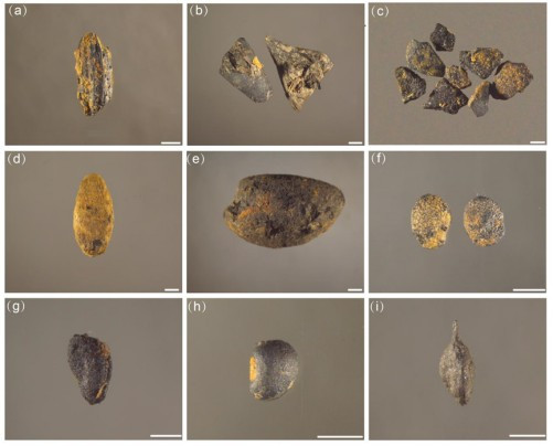 Các phát hiện bao gồm nhiều vật liệu hữu cơ được bảo tồn trong điều kiện ngập nước, hé mở cánh cửa giúp hiểu rõ hơn về cuộc sống hàng ngày của cư dân cổ đại nơi đây. Ảnh: @DailyBeijing.