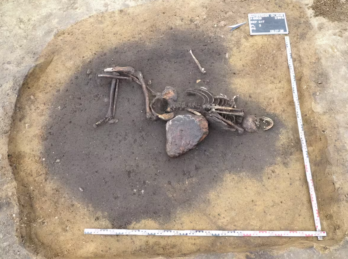 Bộ xương của một người đàn ông trưởng thành, vóc dáng vạm vỡ và cao khoảng 1,7 mét, được chôn cất trong tư thế co quắp, đầu quay về phía trước, bên trong một hố rác, cũng được tìm thấy tại khu định cư này.