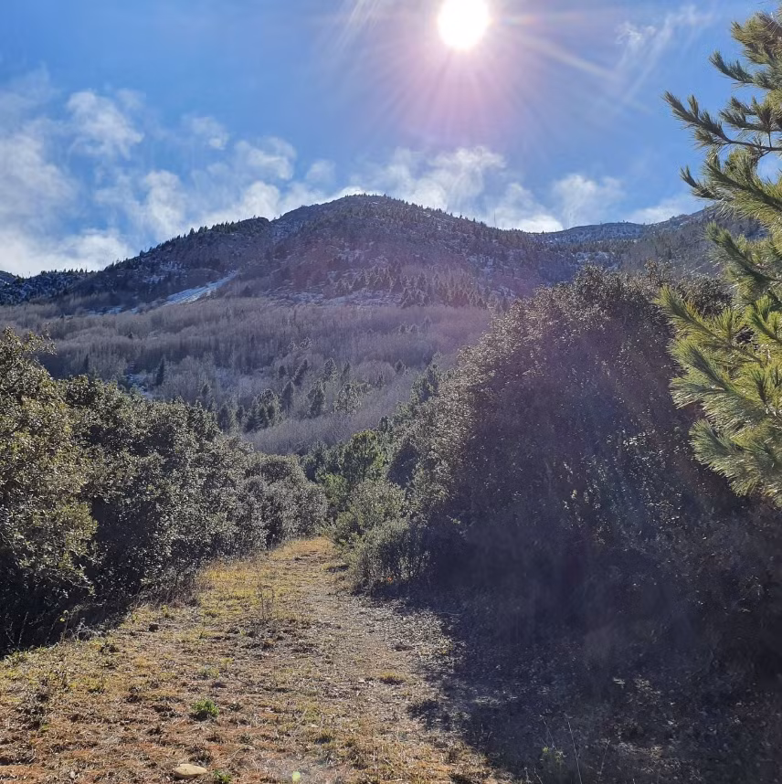 Các chuyên gia khảo cổ học đến từ trường Đại học Bath, nước Anh, khi tiến hành khai quật ở Coahuila, miền bắc Mexico, họ đã tìm thấy một hộp sọ hóa thạch kỳ lạ. Ảnh: @Tripadvisor.