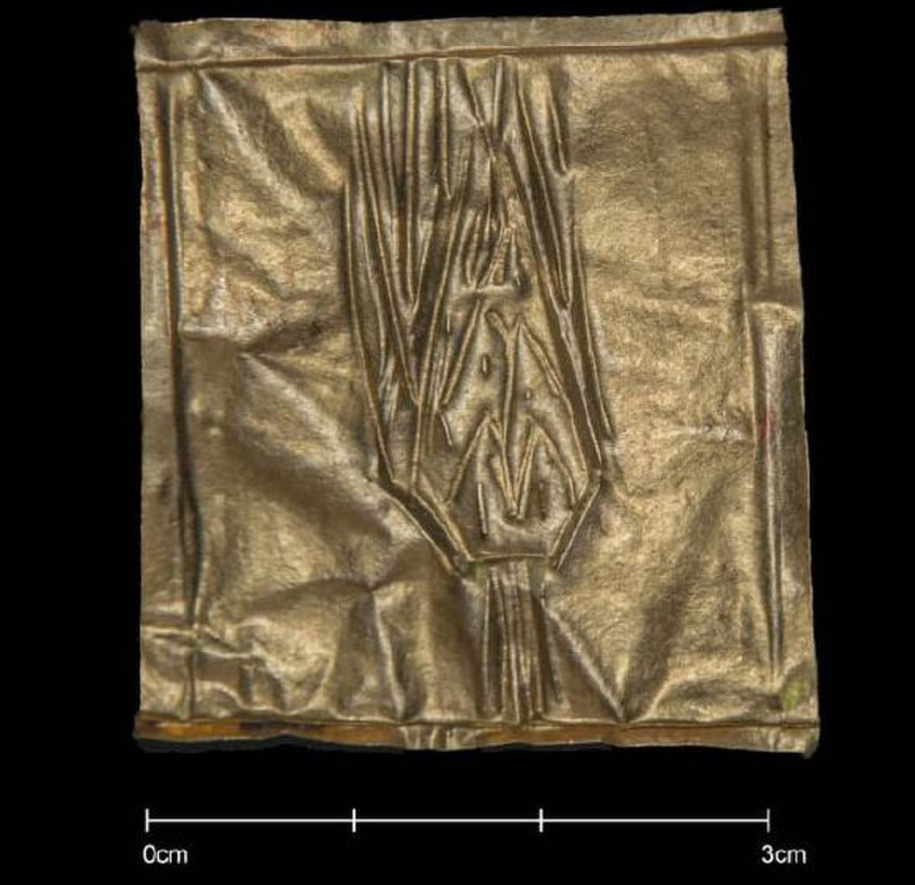 Bức thứ hai dường như mô tả một quả bắp ngô. Ảnh: @Bộ Cổ Vật Ai Cập.