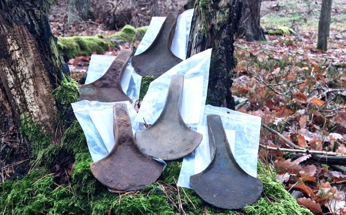 Năm chiếc rìu này có niên đại từ năm 1.700 đến 1.300 Trước Công Nguyên. Ảnh: @Cơ quan Bảo tồn Di tích Quốc gia Pomerania.