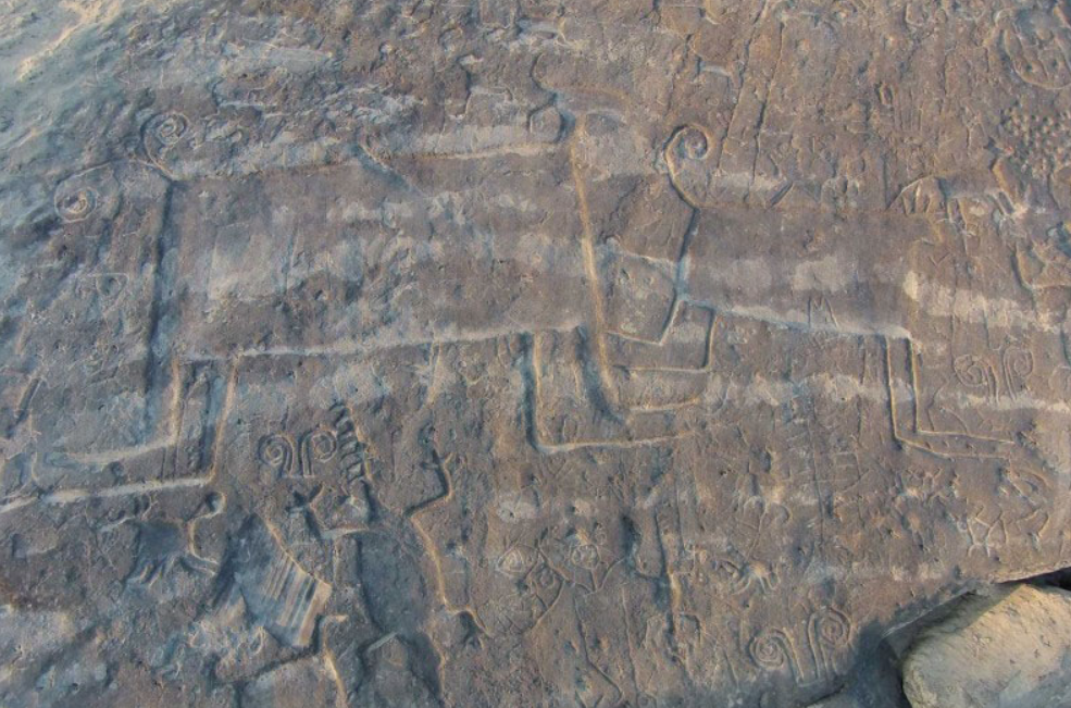 Hầu hết các hình khắc lớn nhất đều mô tả rắn, được cho là rắn boa hoặc trăn anaconda, những loài vật đóng vai trò quan trọng trong thần thoại và tín ngưỡng của người dân bản địa địa phương. Ảnh: @ Juanita Escobar.