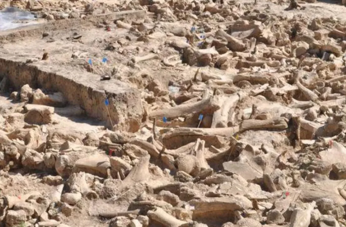 Zaraysk cũng là khu định cư lâu đời nhất được biết đến ở Moscow. Ảnh: @Viện Hàn lâm Khoa học Nga.