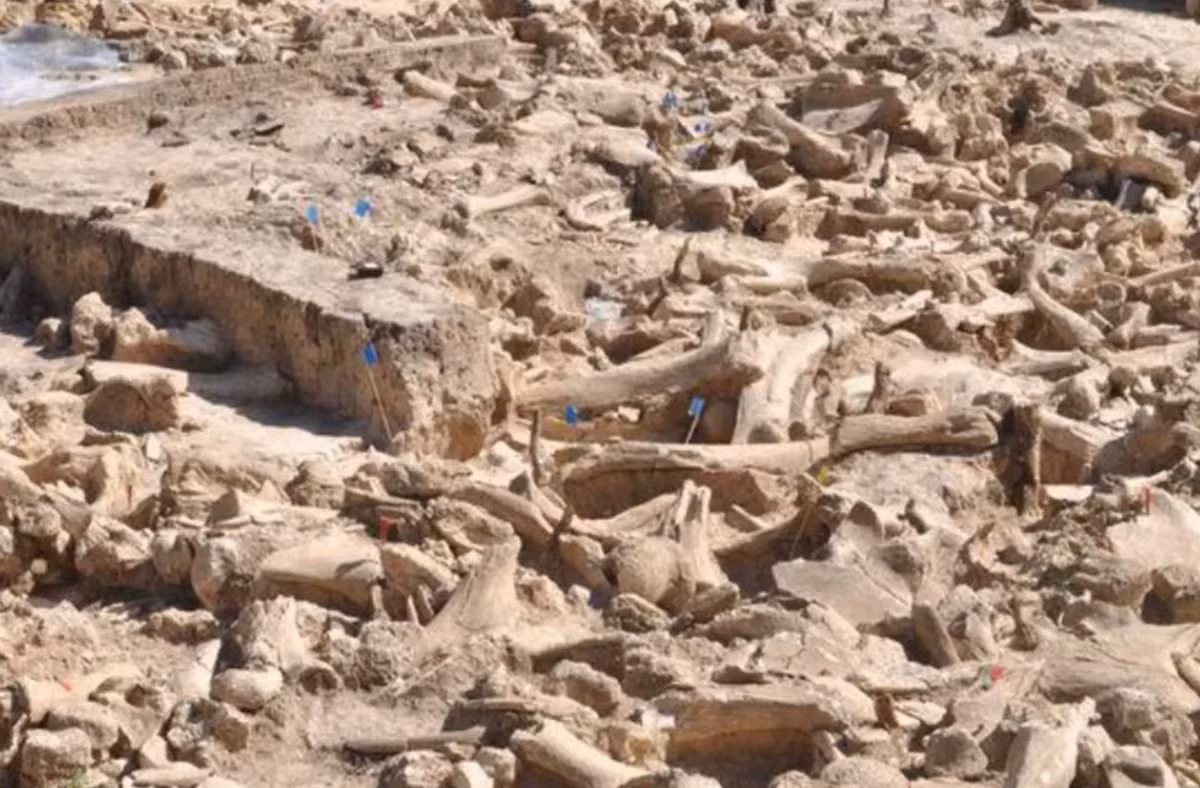 Zaraysk cũng là khu định cư lâu đời nhất được biết đến ở Moscow. Ảnh: @Viện Hàn lâm Khoa học Nga.