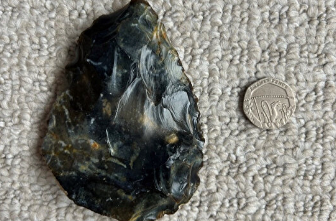 Sau đó, gia đình cậu bé báo cáo sự việc lên Bảo tàng Worthing và kết quả công bố sự thật rất bất ngờ. Ảnh: @Bảo tàng Worthing.