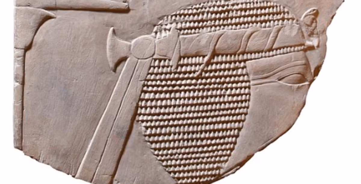 Mặt trước của bức phù điêu bằng đá mô tả đầu của Hatshepsut, nhưng một số phần trên khuôn mặt của bà bị mất. Ảnh: @Đại học Swansea.