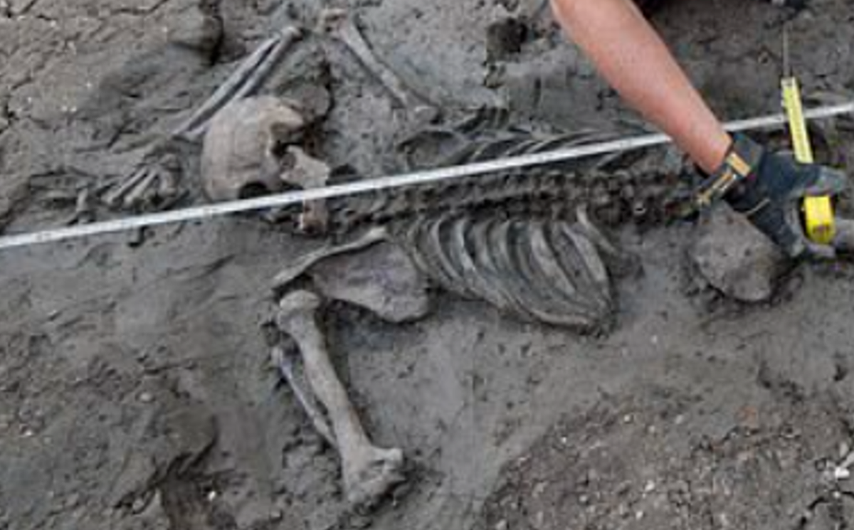 Tuy nhiên, bộ hài cốt này có hình dạng kỳ lạ. Người đàn ông nằm sấp xuống bùn, một tay ôm lấy đầu, mặt nghiêng sang một bên. Tư thế này cho thấy ông ấy có thể đã ngã xuống bùn, hoặc chết đuối ngay sau khi rơi xuống nước, khiến cơ thể phủ đầy bùn. Việc không có bất kỳ thương tích hay tổn thương nào tại thời điểm tử vong hoặc sau khi khám nghiệm hài cốt cho thấy, phát hiện này có khả năng là một tai nạn. Ảnh: @MOLA Headland.