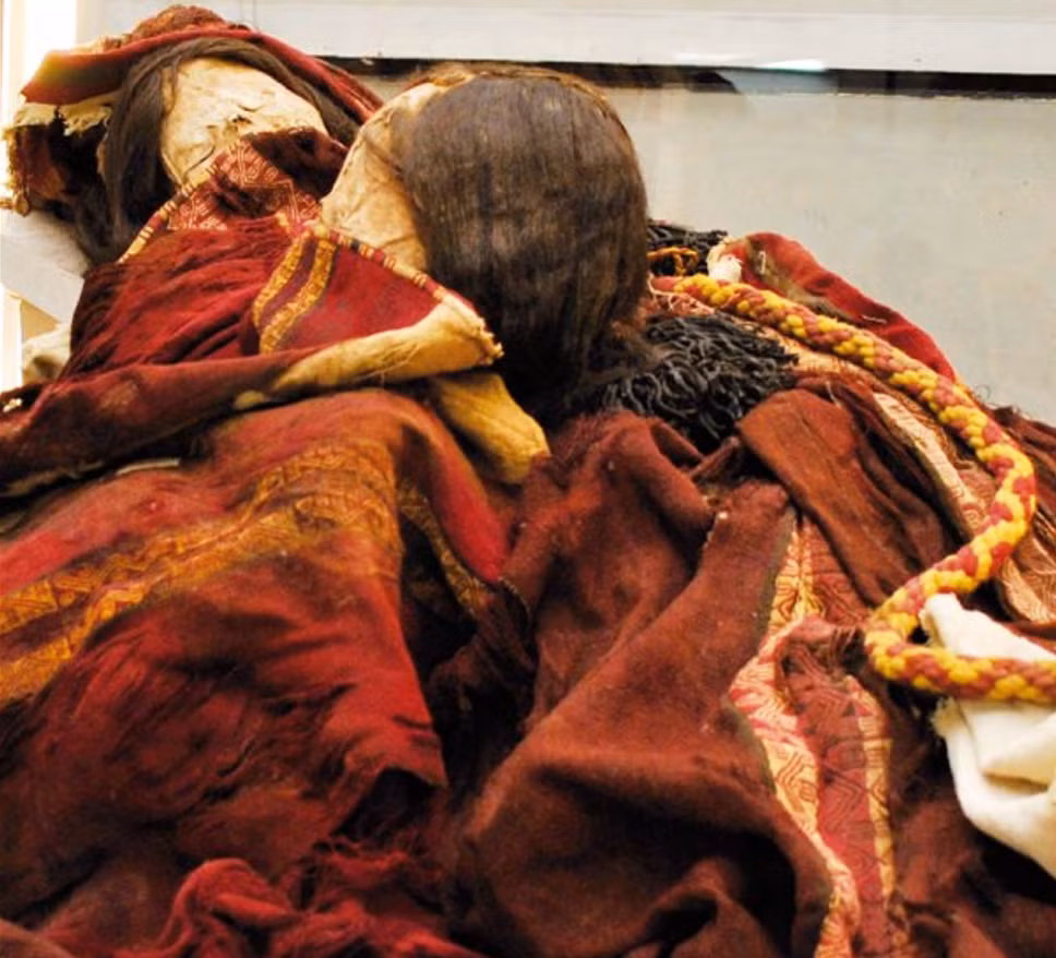 Trong ngôi mộ này chứa hai xác ướp cô gái Chile, đã mất cách đây khoảng 500 đến 600 năm trước. Ảnh: @Đại học Tarapacá.