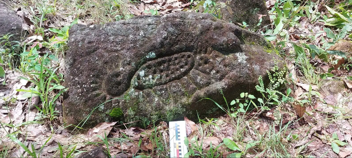 Các họa tiết cho thấy, khu phức hợp nghi lễ Piedra Letra này từng là nơi diễn ra các nghi lễ liên quan đến nước và mặt trời. Ảnh: @Viện Nhân chủng học và Lịch sử Quốc gia Mexico.