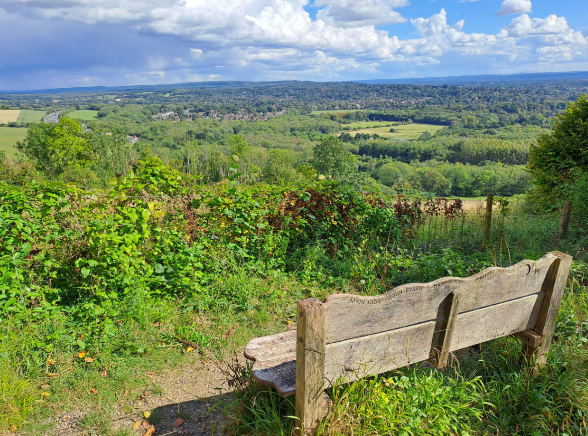 Khi tiến hành dò tìm tại Lenham, các chuyên gia đến từ Bảo Tàng London bất ngờ tìm thấy một vật thể lạ. Ảnh: @Bảo tàng London.