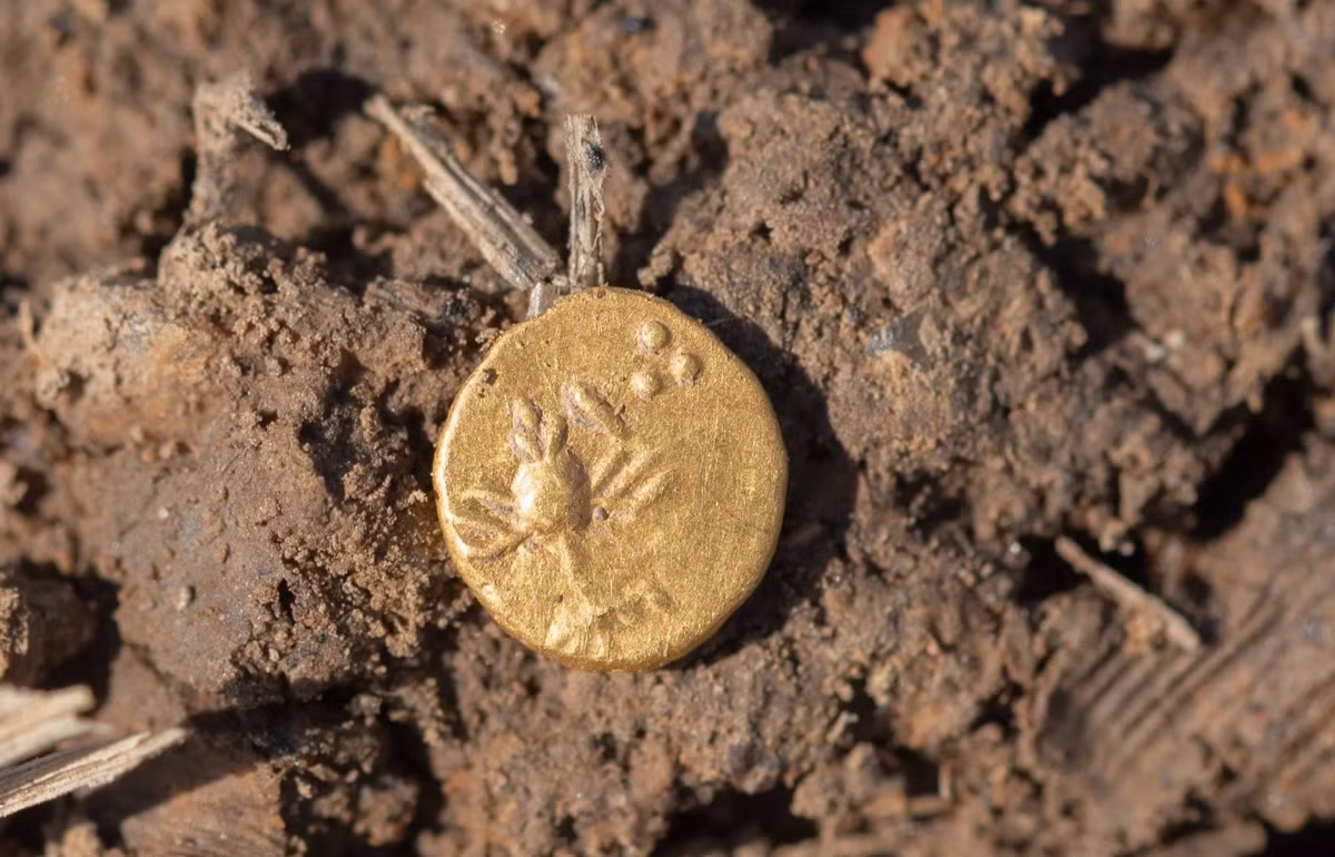 Trong kho báu này, các nhà khảo cổ học đã phát hiện khoảng 500 đồng tiền vàng và bạc, 80 món đồ trang sức bằng vàng, đồng được cắt gọt. Ảnh: @Bảo Tàng Mariánská Týnice.