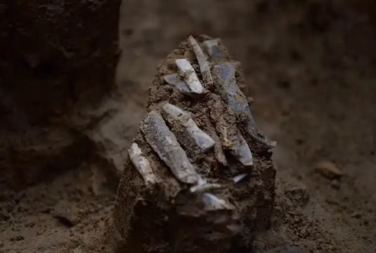 Phân tích chi tiết cho thấy các mảnh vỡ, ban đầu có vẻ như bị tách rời, thực chất được xác định là một phần của dụng cụ săn bắn của cùng một thợ săn. Ảnh: @Martin Novák.