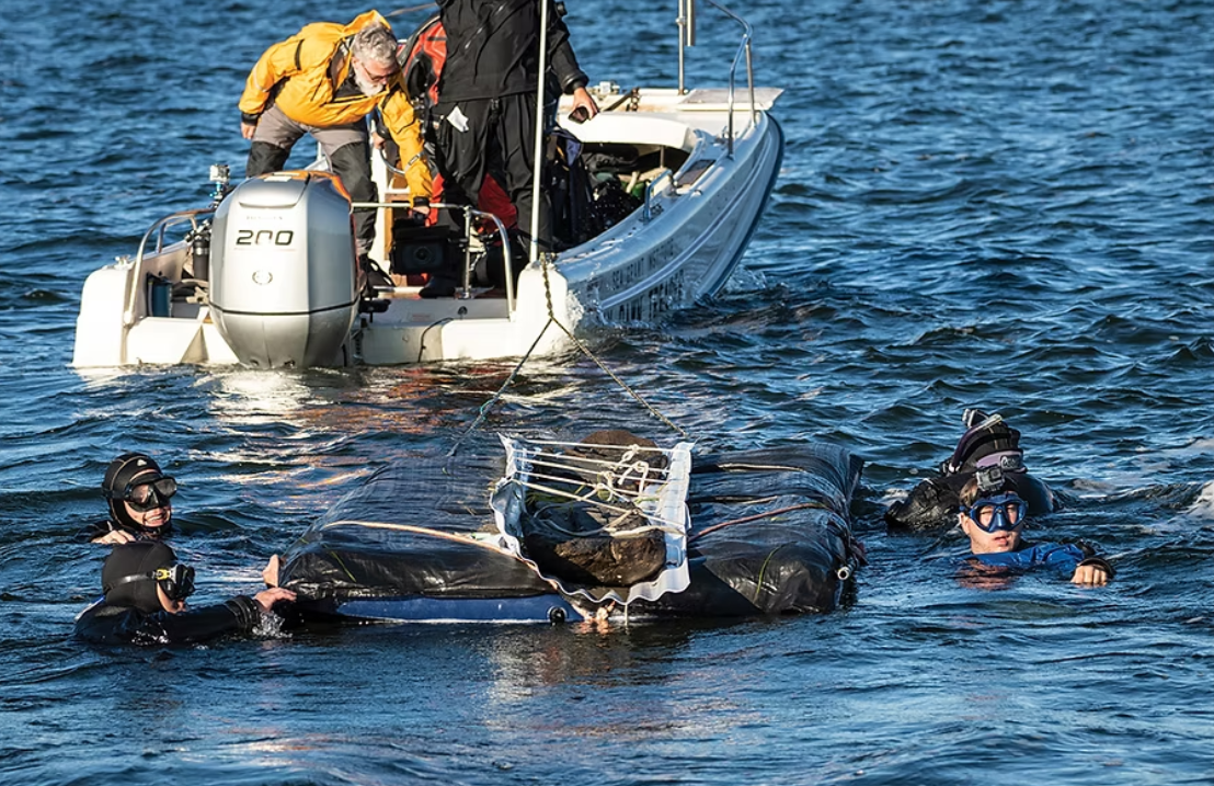 Cuối cùng, 16 chiếc thuyền độc mộc đã được ghi nhận, chúng được sắp xếp thành hai cụm. Ảnh: @Hiệp hội Lịch sử Wisconsin.