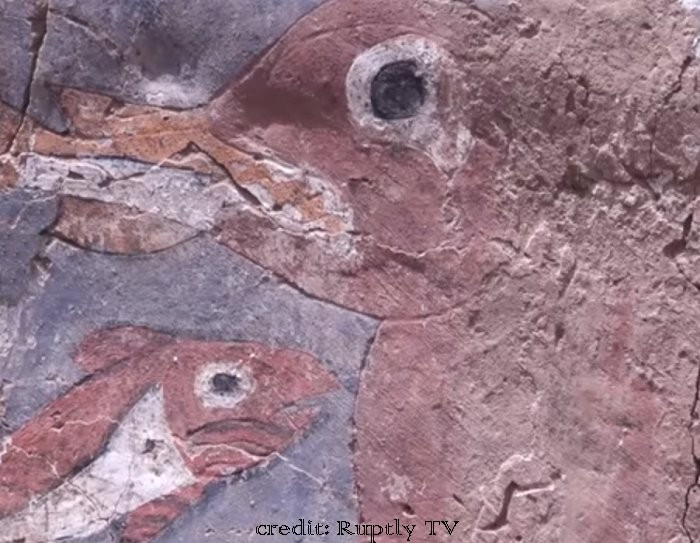 Các căn phòng được phát hiện được cho là chỉ có giới thượng lưu lui tới, và các bức tường của căn phòng được trang trí bằng hình ảnh sư tử biển và cá. Ảnh: @Ruptly TV.