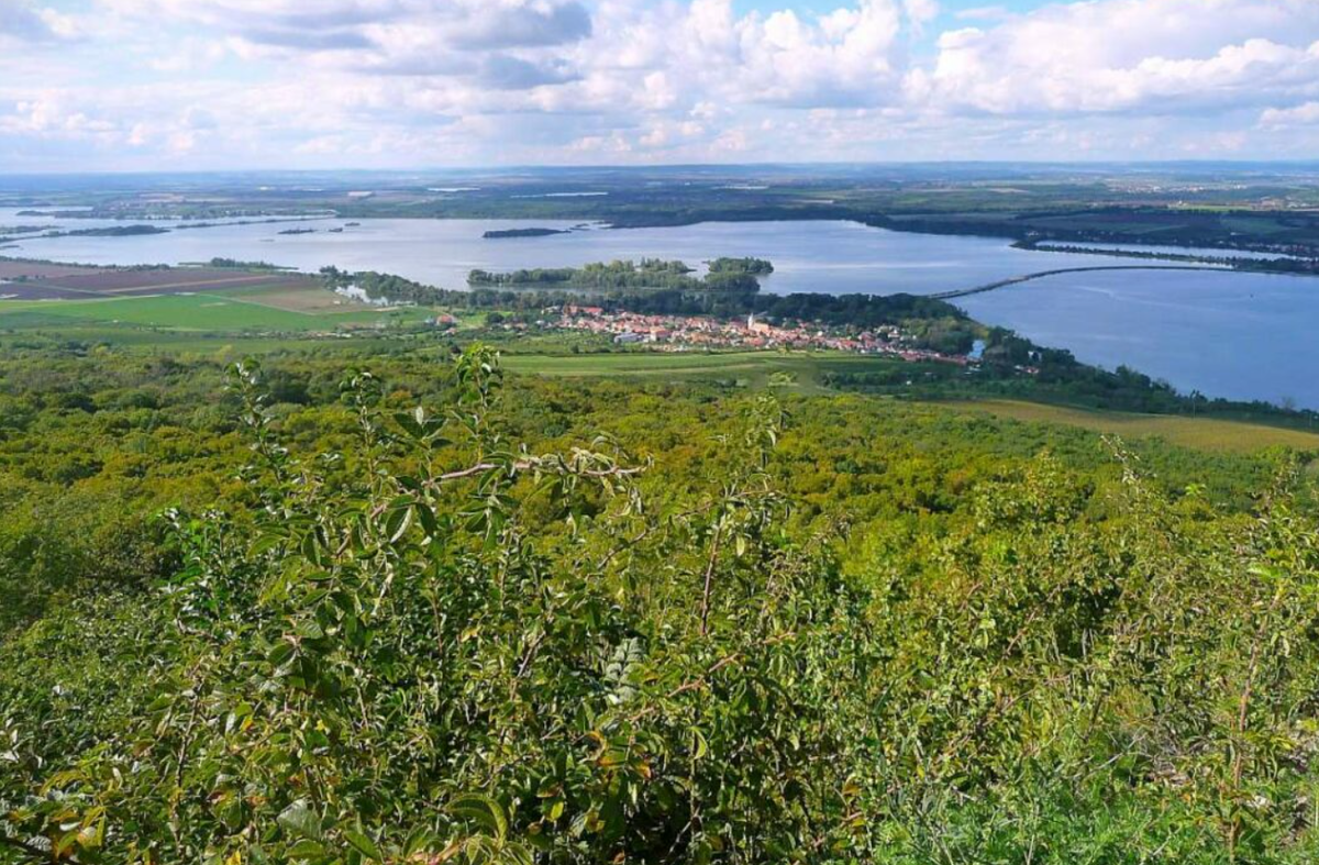 Khi tiến hành khai quật tại địa điểm khảo cổ Dolní Věstonice ở Cộng hòa Séc, các chuyên gia đến từ Viện Nghiên Cứu Khảo Cổ Cộng hòa Séc bất ngờ tìm thấy vật thể lạ. Ảnh: @Viện Nghiên Cứu Khảo Cổ Cộng hòa Séc.