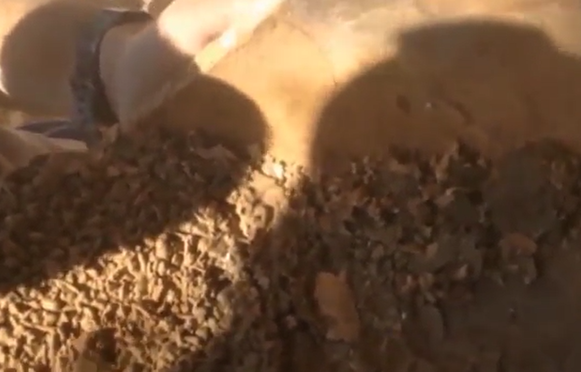 Mặc dù hiếm, nhưng bình chứa cóc không đầu không phải là hoàn toàn chưa từng có tiền lệ. Tiến sĩ Dafna Langgut của Đại học Tel Aviv cho biết về một ngôi mộ thời kỳ đồ đồng muộn ở Wadi Ara ở phía bắc Israel cũng chứa một chiếc bình đựng cóc bị chặt đầu. Ảnh: @Cơ quan Cổ vật Israel.