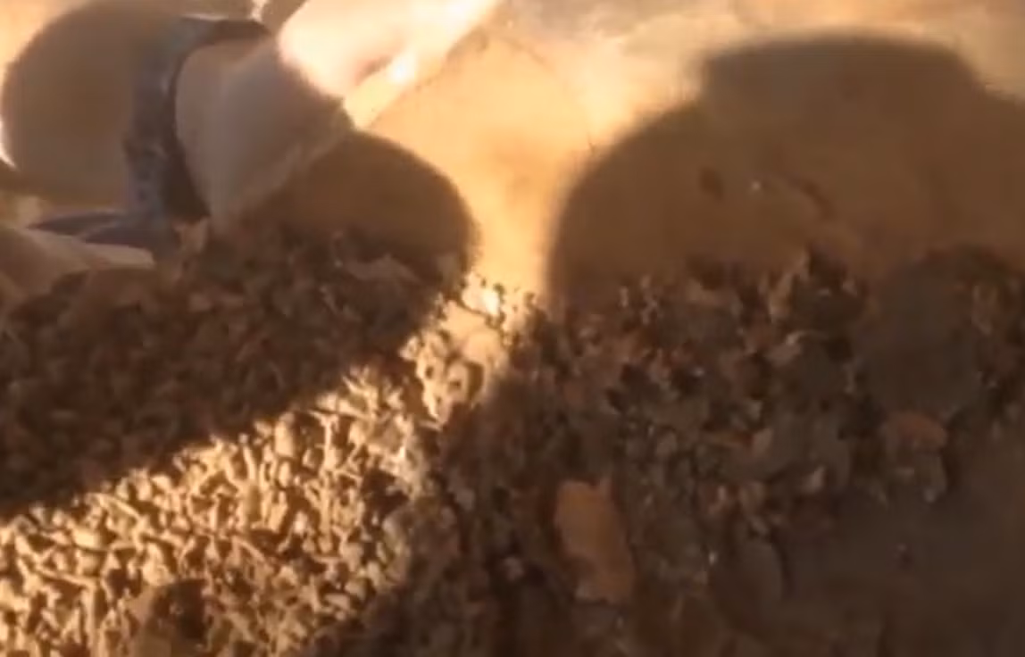 Mặc dù hiếm, nhưng bình chứa cóc không đầu không phải là hoàn toàn chưa từng có tiền lệ. Tiến sĩ Dafna Langgut của Đại học Tel Aviv cho biết về một ngôi mộ thời kỳ đồ đồng muộn ở Wadi Ara ở phía bắc Israel cũng chứa một chiếc bình đựng cóc bị chặt đầu. Ảnh: @Cơ quan Cổ vật Israel.