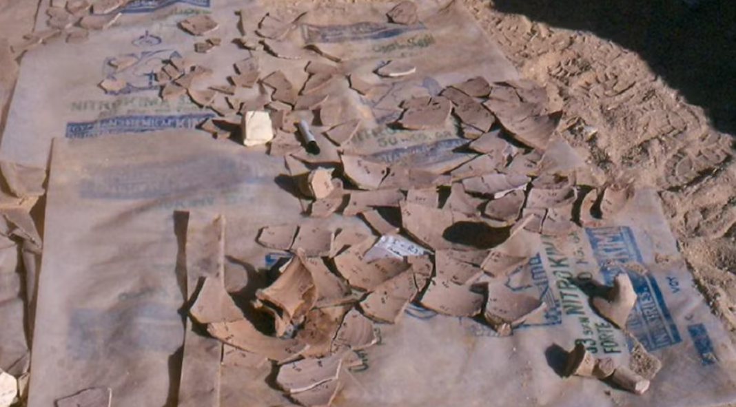 Phân tích hài cốt cho thấy người này là một người đàn ông trong độ tuổi từ 30 đến 40, có thân hình vạm vỡ và chiều cao khoảng 164,2 cm. Các đốt sống thắt lưng bị dẹt và mòn nặng ở xương sườn bên trái cho thấy hoạt động thể chất cường độ cao, lặp đi lặp lại. Các dấu hiệu viêm nhiễm và mô xương dày lên ở hộp sọ hé lộ các giai đoạn thiếu dinh dưỡng, bệnh tật hoặc chấn thương trong quá khứ. Ảnh: @Henryk Paner.