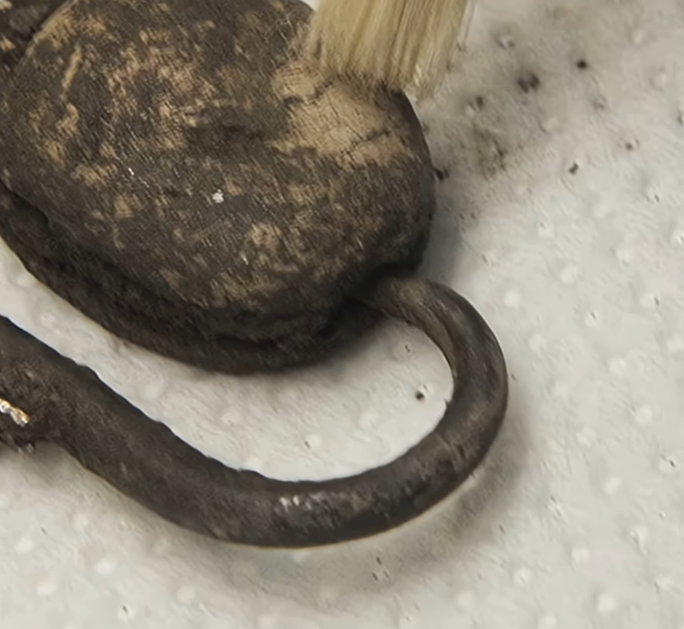 Đồng thời, chúng còn đóng vai trò là con dấu cá nhân dùng để đánh dấu trên đất sét hoặc sáp. Mỗi dấu ấn đều độc nhất vô nhị, gắn liền với danh tính, quyền lực hoặc tài sản của một cá nhân. Ảnh: @ Cục Giám sát Khảo cổ học, Mỹ thuật và Cảnh quan Cagliari.