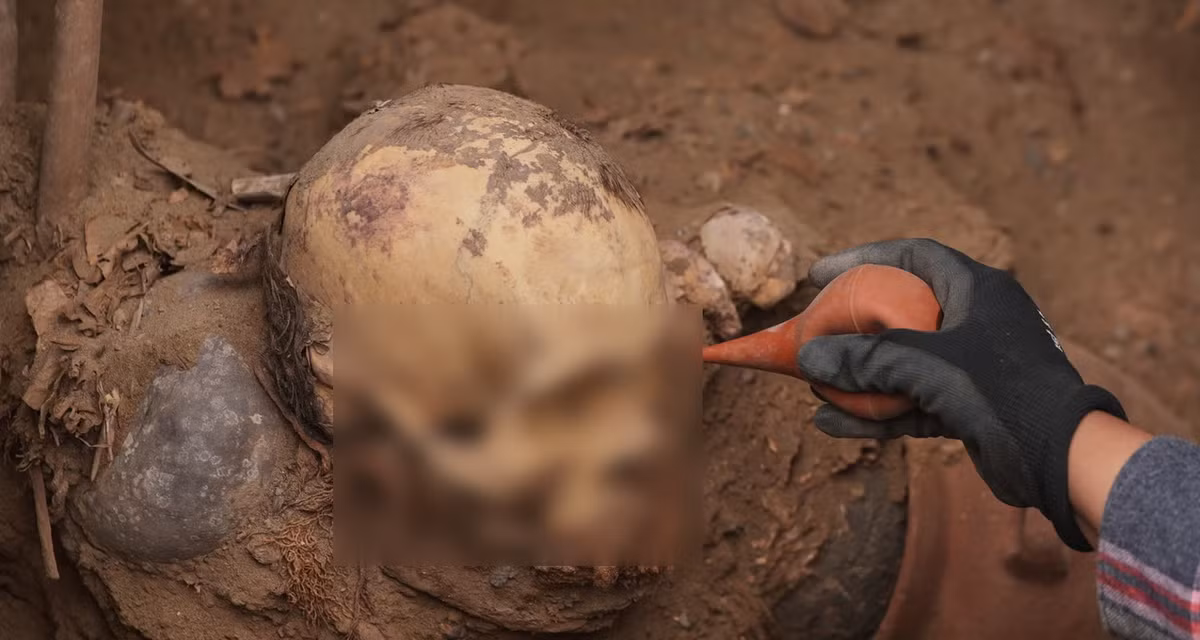 Ngôi mộ hình bầu dục dài khoảng 20 mét này chứa hài cốt của hơn 70 người, bao gồm cả chục trẻ sơ sinh. Ảnh: @Đại học Bruxelles.