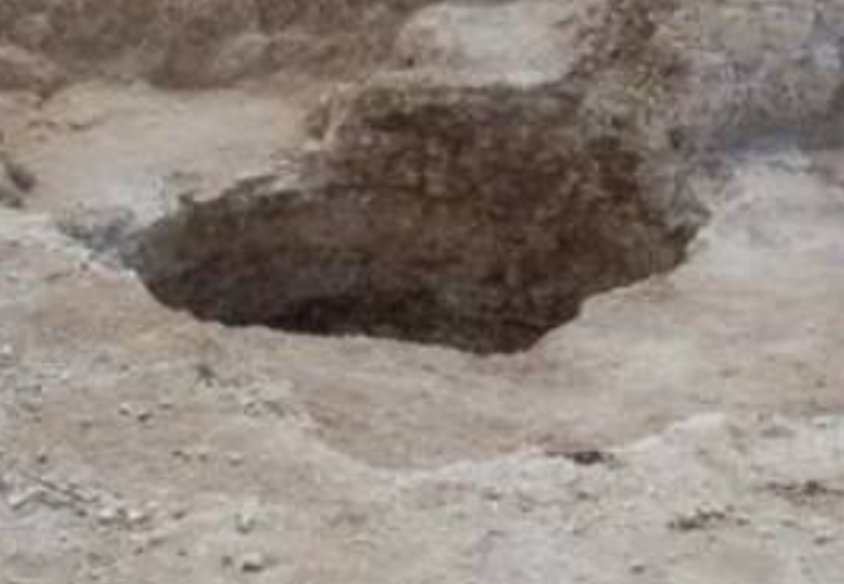 Trong hố khai thác đá thời La Mã cổ đại chứa đầy một số lượng lớn hài cốt chó. Tổng cộng, các nhà nghiên cứu đã tìm thấy 5.436 mảnh xương thuộc về ít nhất 140 hài cốt con chó. Ảnh: @trường Nescot College.