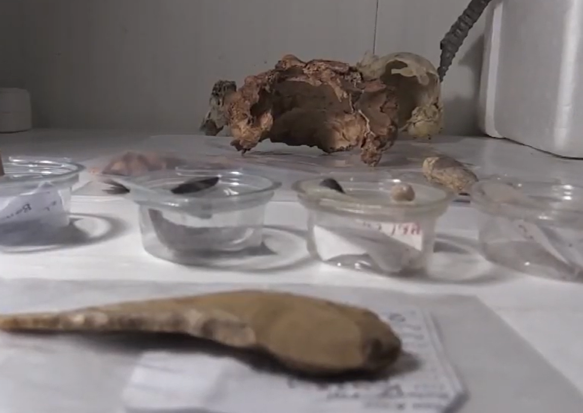 Theo lý giải của các chuyên gia, những hộp sọ này được sử dụng cho các mục đích nghi lễ thờ cúng cổ xưa trong hang động. Ảnh: @Đại học Ankara Hacı Bayram Veli.