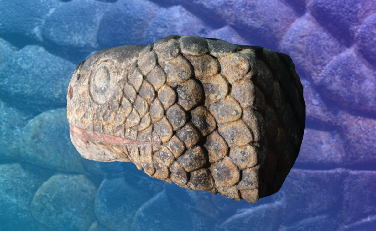 Đó là một bức chạm khắc hình đầu rắn Aztec ở độ sâu 4,5 mét dưới mặt đường. Ảnh: @Viện Nhân chủng học và Lịch sử Quốc gia Mexico.