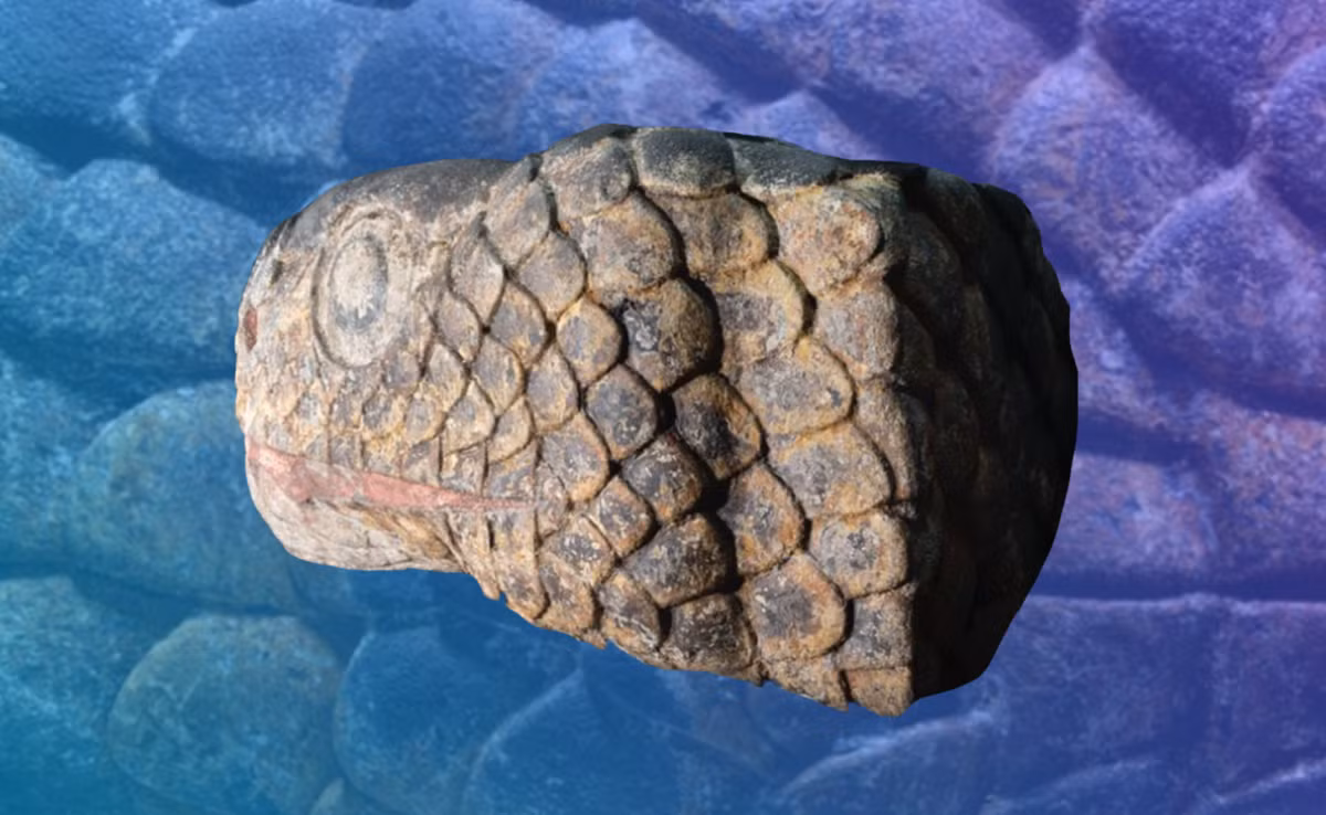 Đó là một bức chạm khắc hình đầu rắn Aztec ở độ sâu 4,5 mét dưới mặt đường. Ảnh: @Viện Nhân chủng học và Lịch sử Quốc gia Mexico.