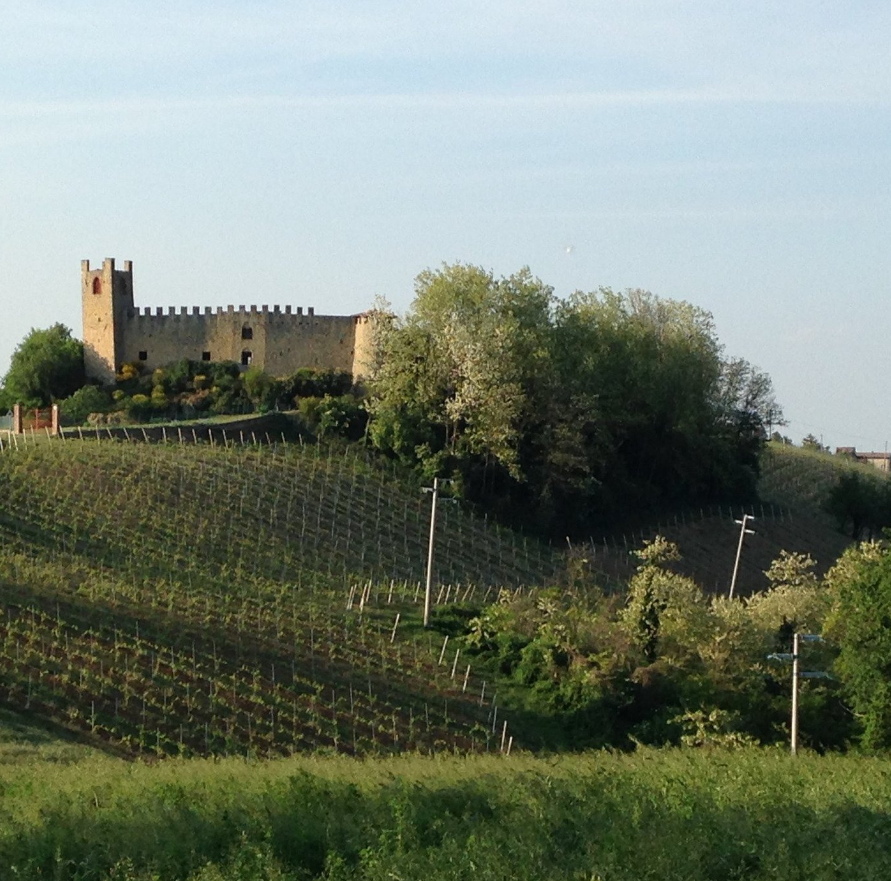 Cụ thể, trong khi chơi đùa với nước và nhặt đá cùng cha mình, Nicolò Naturani nhận thấy một điều kỳ lạ: Đó là một tảng đá lớn, nhẵn bóng… có một cái lỗ. Ảnh: @Bảo tàng Khảo cổ học Thành phố Piacenza.