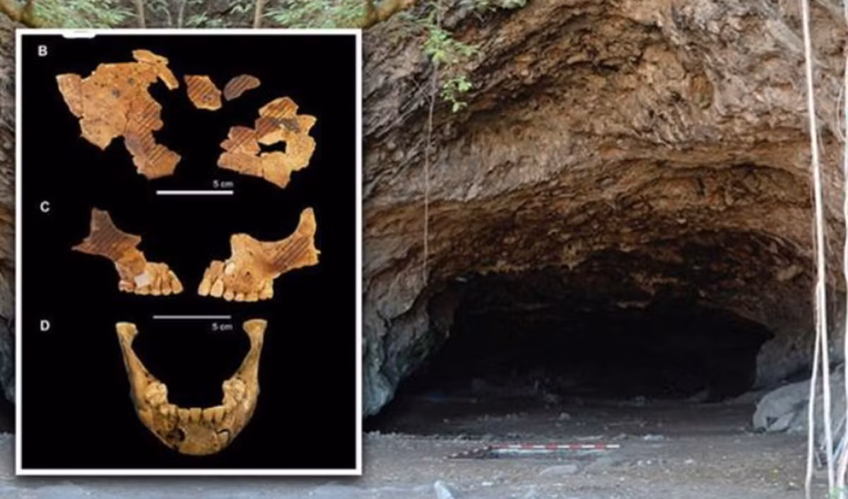 Đó là một ngôi mộ trẻ em có từ đầu thời kỳ Holocen cách đây 8.000 năm trước. Điều đáng nói là ngôi mộ này phản ánh hình thức chôn cất cổ xưa đậm chất kỳ lạ lẫn kinh dị. Ảnh: @Đại học Quốc gia Úc.