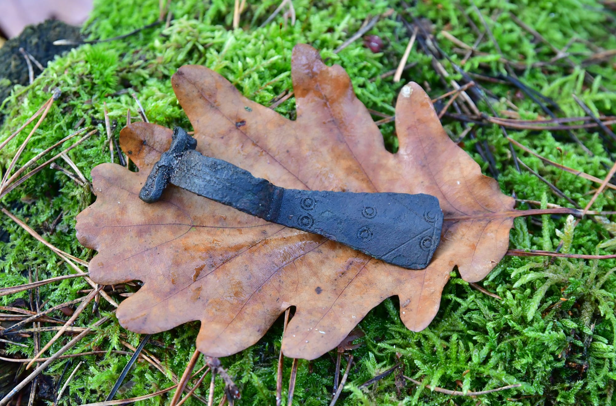 Nhưng các nhà khảo cổ học vẫn chưa loại trừ khả năng chúng vẫn có thể là một phần của hiện vật được tìm thấy trong hoạt động buôn bán giao thương luyện kim cổ xưa. Ảnh: @Cơ quan Bảo tồn Di tích Quốc gia Pomerania.