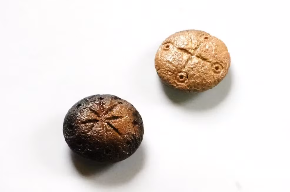 Các đồ vật này có dạng hình đĩa. Một viên có biểu tượng bốn nhánh, và viên còn lại có biểu tượng tám nhánh. Ảnh: @Đại học Karabük.