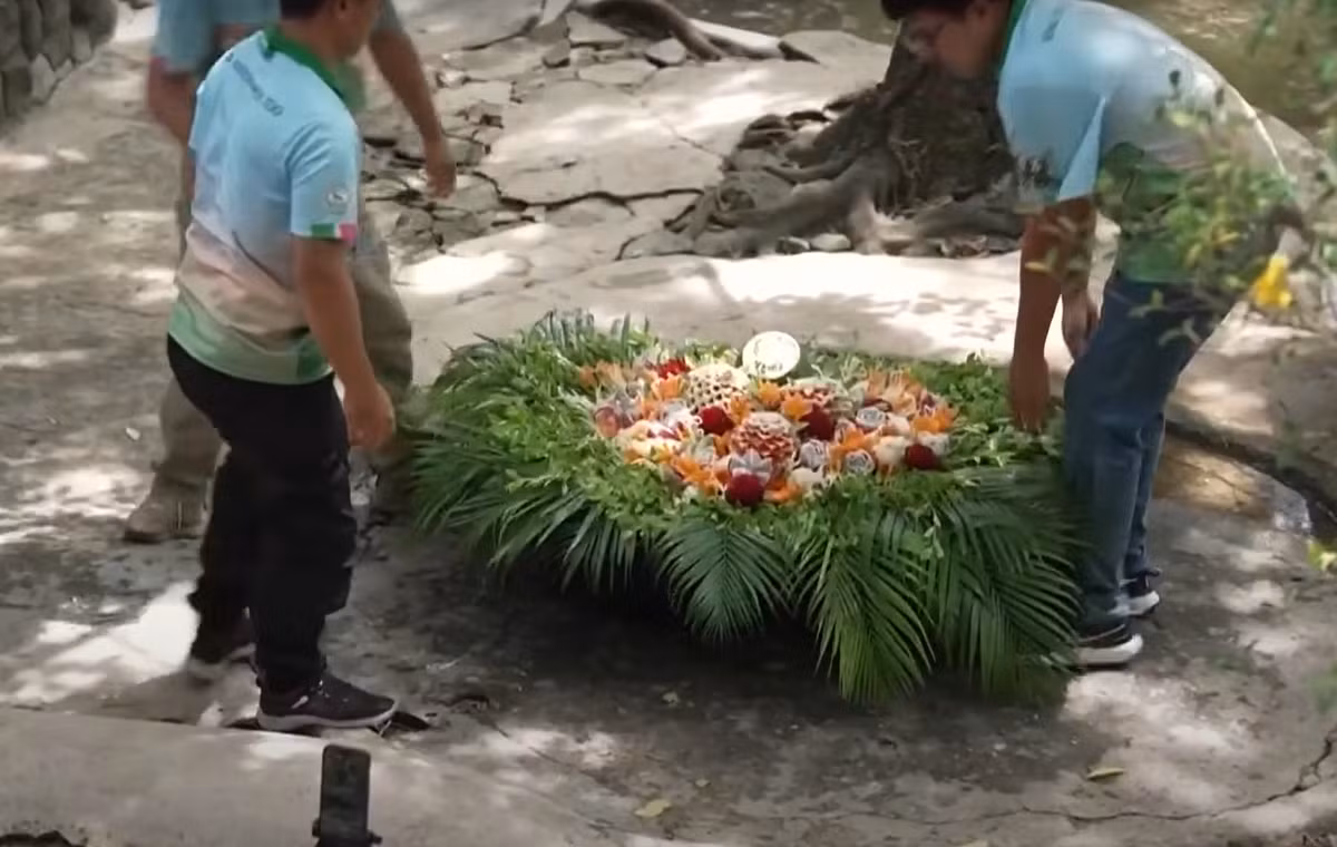 Người hâm mộ chụp ảnh chú hà mã con bằng máy ảnh hoặc điện thoại di động và hát "Chúc mừng sinh nhật" khi chiếc bánh sinh nhật của chú được làm từ nhiều loại trái cây và rau quả, được đặt gần ao. Ảnh: @Vườn thú mở Khao Kheow.