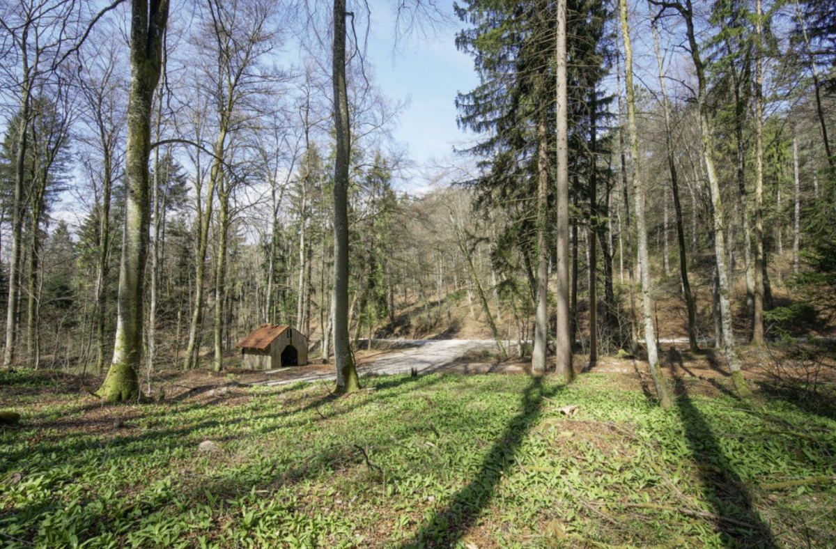 Tuy nhiên, cơn bão này cũng đã vô tình dẫn đến một khám phá rất có lợi cho giới khảo cổ học Thụy Sĩ. Ảnh: @Swissinfo.