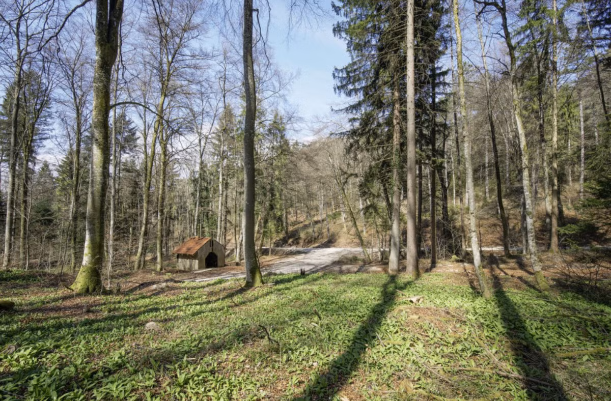 Tuy nhiên, cơn bão này cũng đã vô tình dẫn đến một khám phá rất có lợi cho giới khảo cổ học Thụy Sĩ. Ảnh: @Swissinfo.