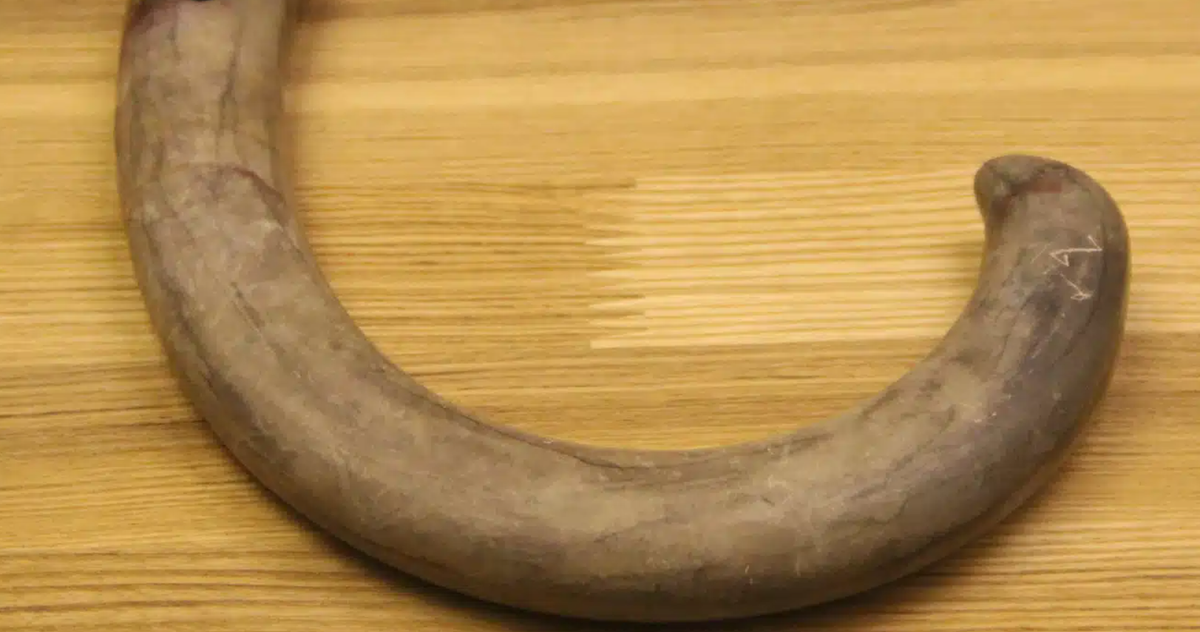 Gideon Shelach-Lavi, giáo sư nghiên cứu Đông Á tại Đại học Hebrew Jerusalem, đã chia sẻ suy nghĩ của mình rằng, phát hiện này mang lại cái nhìn sâu sắc mới về cuộc sống của các cộng đồng Thời Kỳ Đồ Đá Mới trong khu vực. Ảnh: @Sun Jinsong.