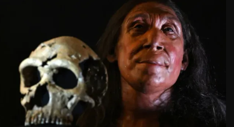 Các kỹ thuật thăm dò, phân tích khảo cổ học chuyên sâu cho thấy, bộ hài cốt cổ đại này có thể thuộc về chủng người tiền sử chưa được biết đến. Ảnh: @Trung tâm Nghiên cứu Quốc gia về Tiến hóa Loài người.