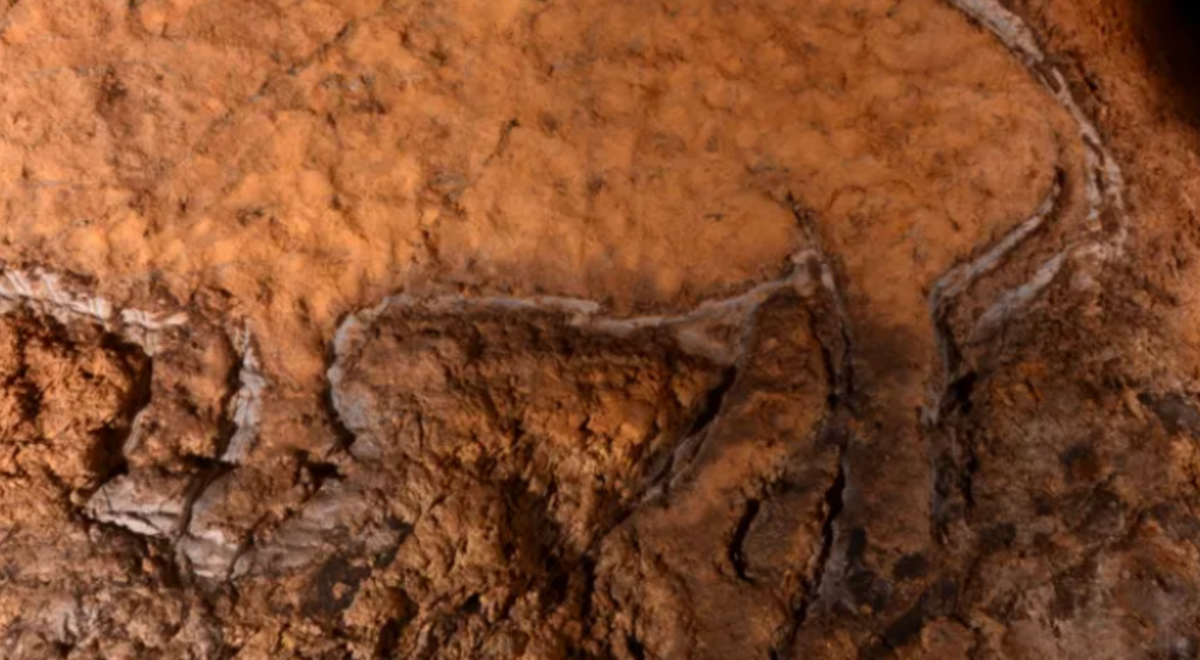 Các chuyên gia đến từ Viện Nghiên Cứu Khảo Cổ Tây Ban Nha cho rằng, bức tranh khắc lợn rừng này có thể đã được khắc vào vách hang động, bằng các công cụ đá lửa với các kích cỡ mũi khắc khác nhau. Ảnh: @Viện Nghiên Cứu Khảo Cổ Tây Ban Nha.