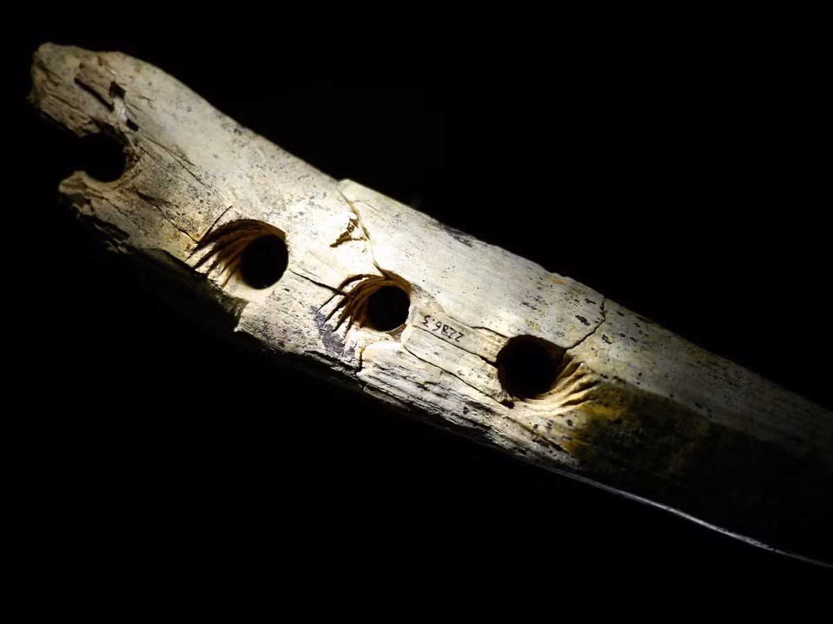 .Các lỗ được khắc theo hình xoắn ốc sâu, không mang tính trang trí mà là những đặc điểm thiết thực giúp luồn sợi thực vật bện thành dây thừng chắc chắn. Ảnh: @Bảo tàng Tiền sử Blaubeuren.